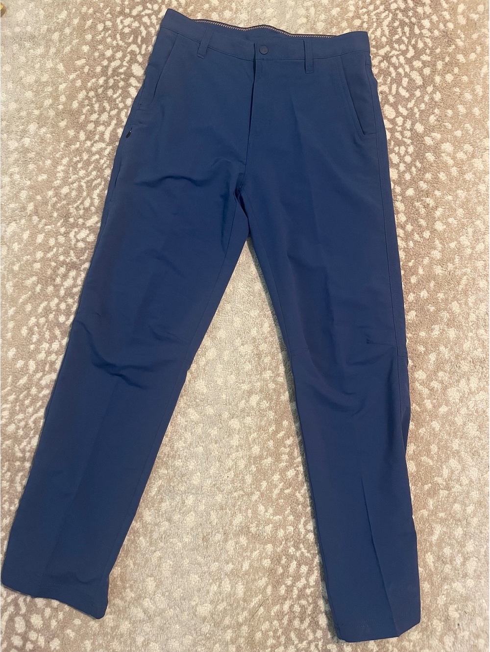 Alpine design men’s pants